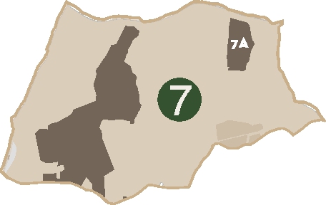 Ritagli 7 Verzella Ritagli 7 Verzella
